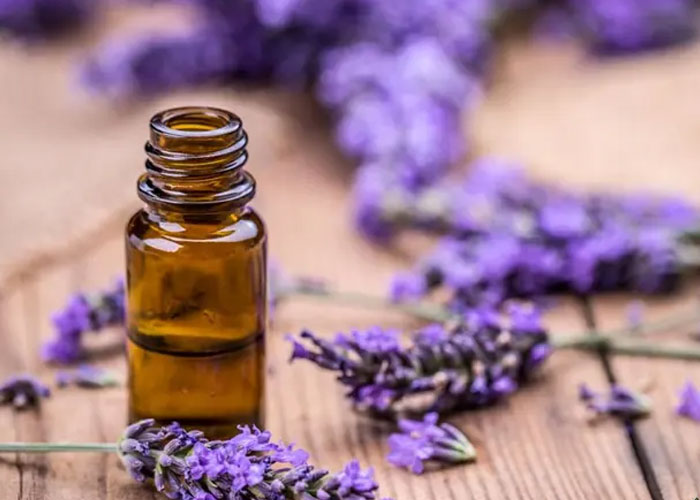 Những loại tinh dầu thơm phòng an toàn cho bé mà bạn nên biết