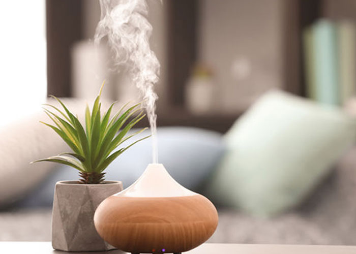 Tinh dầu thơm phòng ngủ loại nào tốt? Cách dùng như thế nào?