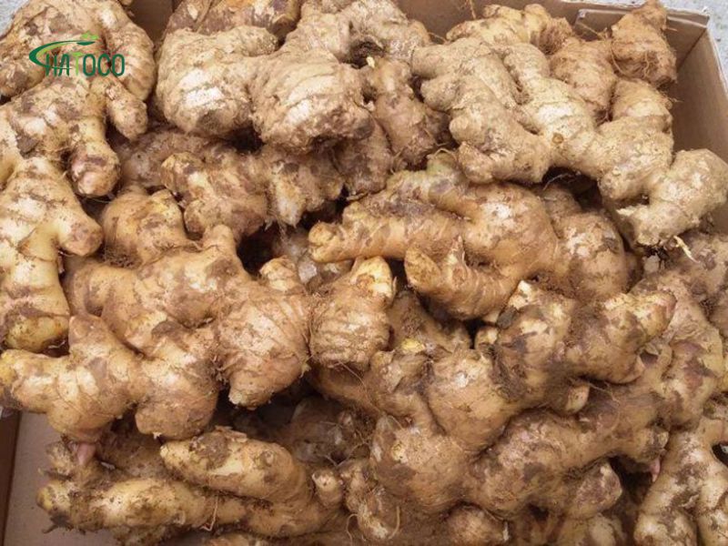 cach-cac-thao-duoc-ket-hop-giup-giam-viem-lung-hieu-qua-1