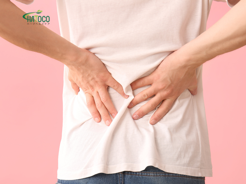 cach-dai-lung-thao-duoc-giup-cai-thien-tuan-hoan-mau-vung-lung