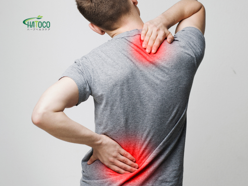 cach-dai-lung-thao-duoc-ho-tro-giam-dau-do-thoai-hoa-cot-song