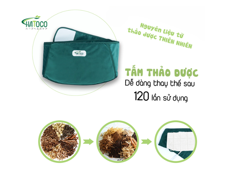 dai-lung-thao-duoc-co-giup-ho-tro-dieu-tri-dau-that-lung-khong