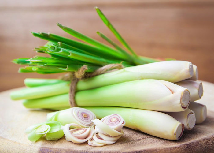 Cây sả giúp giảm đau cơ bắp vùng lưng ra sao?