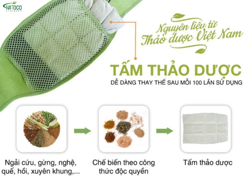 Thành phần có trong đai lưng thảo dược