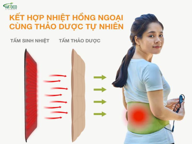 Cơ chế hoạt động của đai lưng thảo dược
