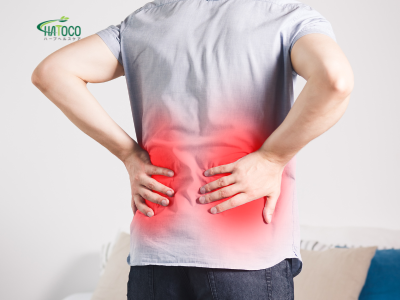 dai-lung-thao-duoc-co-phu-hop-voi-nguoi-bi-viem-khop-khong