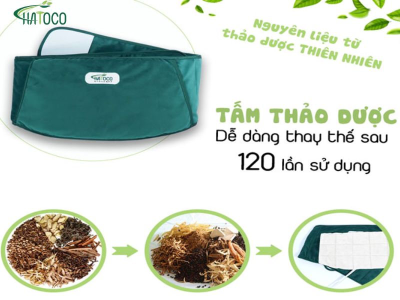 dai-lung-thao-duoc-co-tac-dung-giai-doc-co-the-khong-2