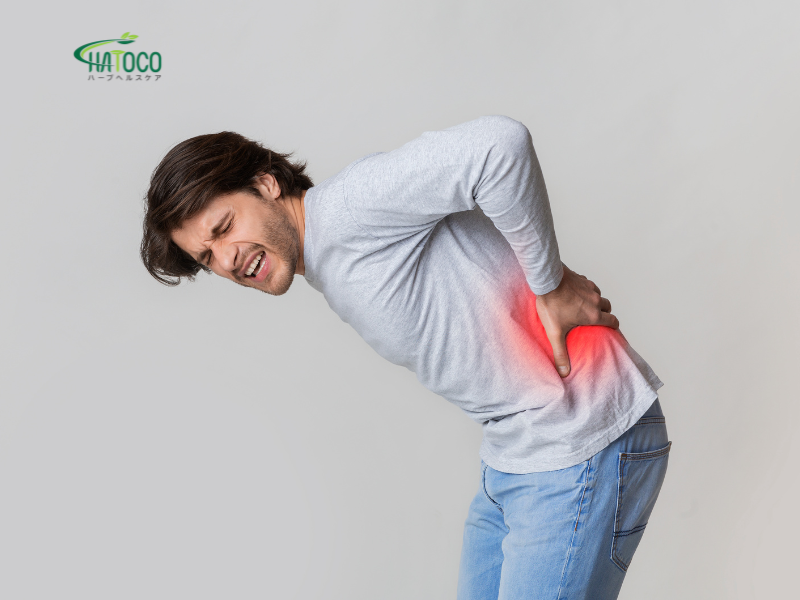 dai-lung-thao-duoc-co-the-thay-the-thuoc-giam-dau-khong