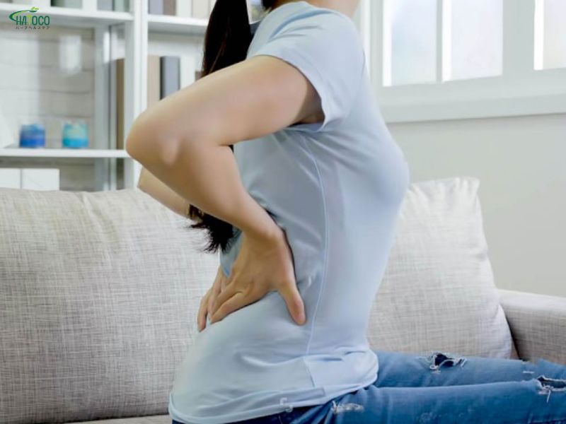 Đai lưng thảo dược phù hợp với nhiều đối tượng