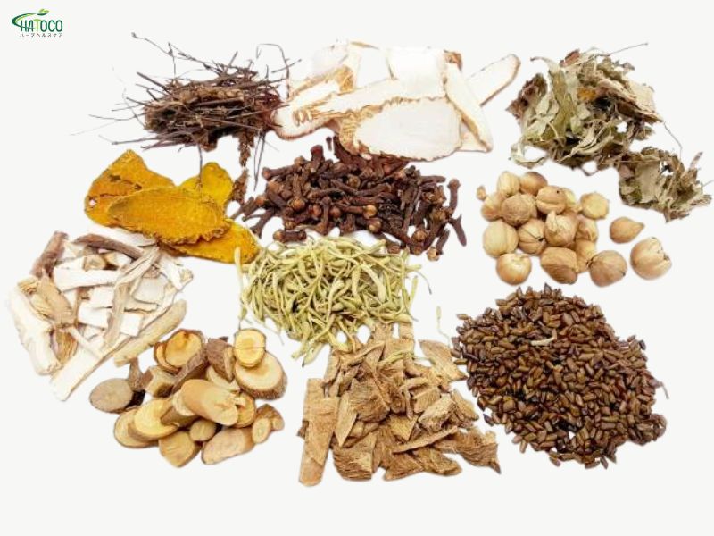 Thành phần của đai lưng thảo dược