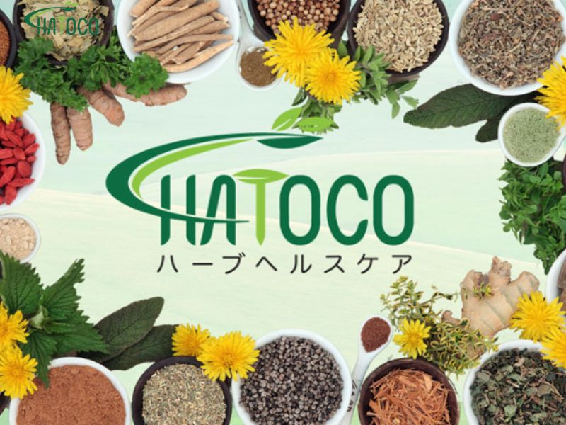 dai-lung-thao-duoc-giup-cai-thien-luu-thong-mau-nho-co-che-nao-1