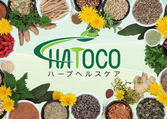 Đai lưng thảo dược giúp cải thiện lưu thông máu nhờ cơ chế nào?