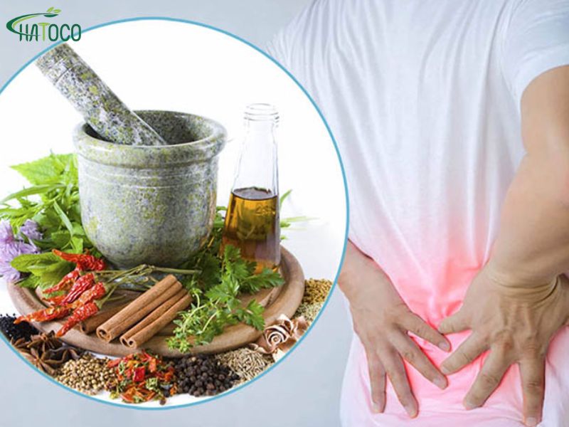 dai-lung-thao-duoc-giup-giam-viem-sung-nho-thanh-phan-gi-1