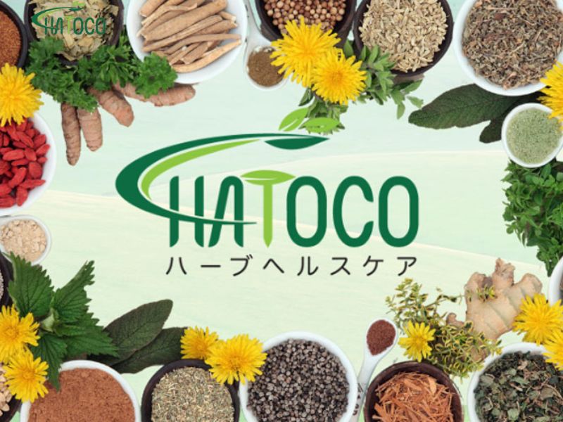 dai-lung-thao-duoc-giup-giam-viem-sung-nho-thanh-phan-gi-3
