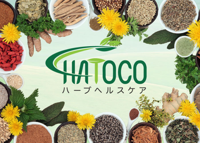 Nên đeo đai lưng thảo dược bao lâu mỗi ngày để có tác dụng tốt nhất?