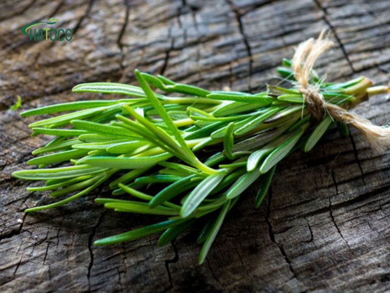 huong-thao-co-tac-dung-gi-trong-giam-viem-khop-lung-1