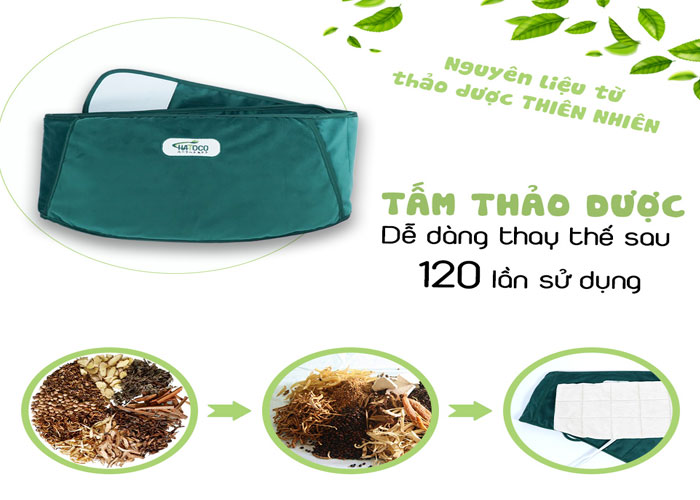 Ngải cứu trong đai lưng thảo dược: Công dụng và lợi ích