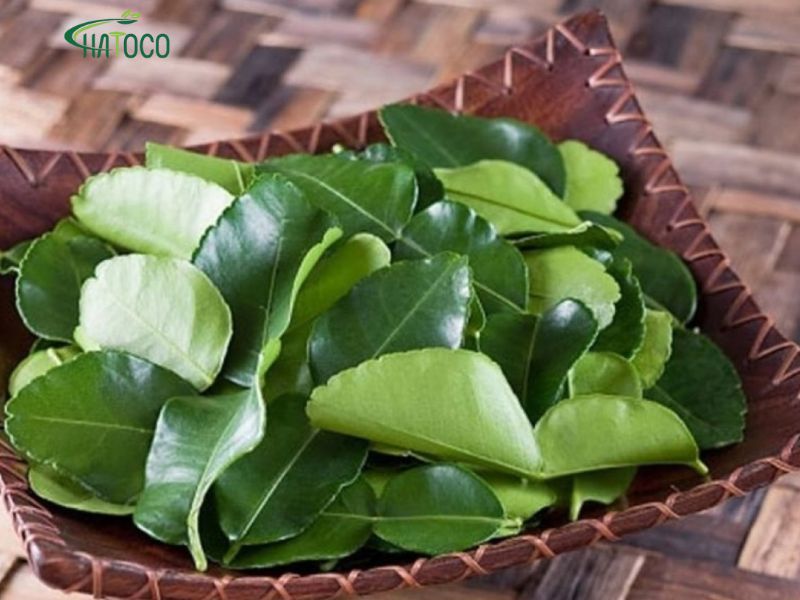 nghe-trong-dai-lung-thao-duoc-1