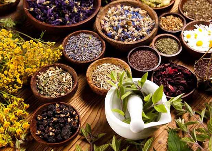 Sự kết hợp của thảo dược giúp giảm đau hiệu quả như thế nào?