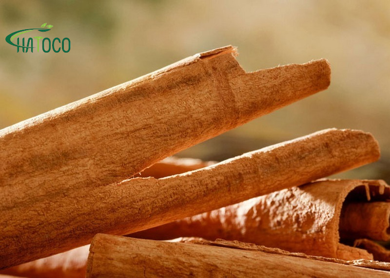 tac-dung-cua-que-trong-dai-lung-thao-duoc-2