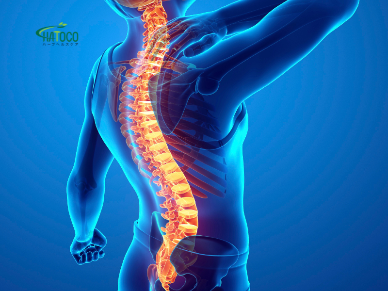 dai-lung-thao-duoc-co-phu-hop-voi-nguoi-bi-viem-khop-khong