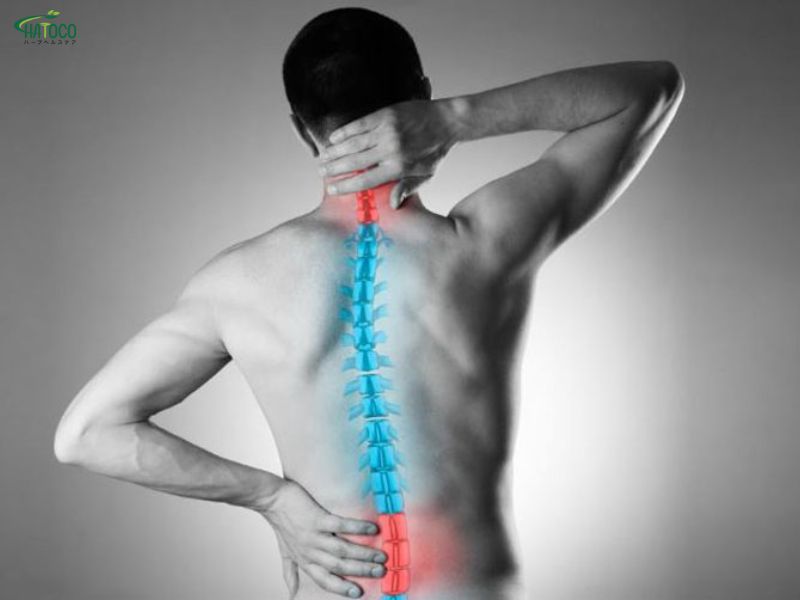 Đối tượng sử dụng đai thảo dược