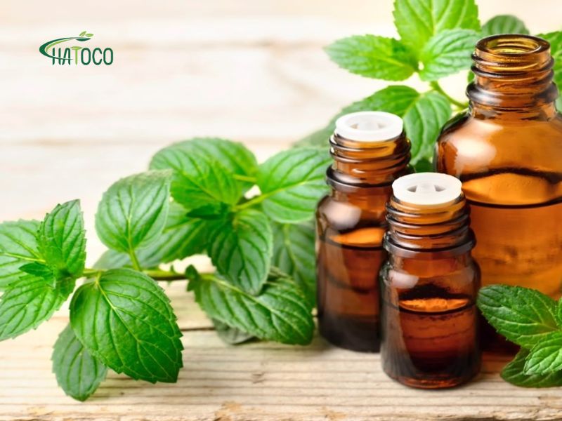 tinh-dau-bac-ha-giup-thu-gian-co-bap-va-giam-dau-lung-2