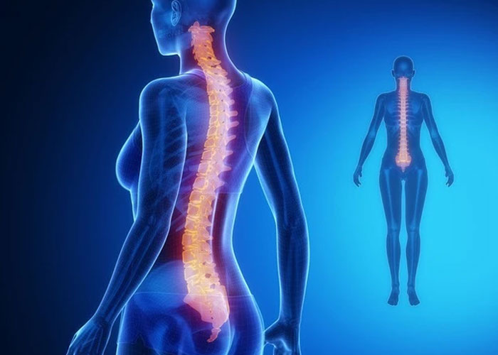 Cách kiểm tra cột sống tại nhà đơn giản, dễ thực hiện