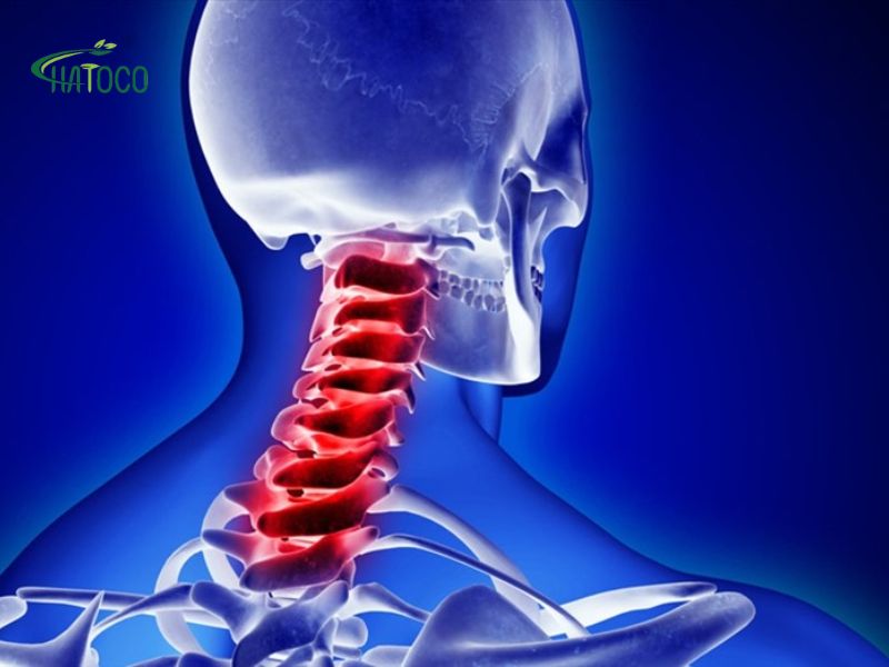 dai-lung-thao-duoc-co-giup-nguoi-bi-thoai-hoa-dot-song-giam-dau-khong-1