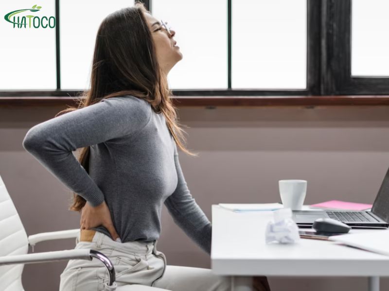 dai-lung-thao-duoc-co-phu-hop-voi-nguoi-lam-viec-van-phong-khong-1