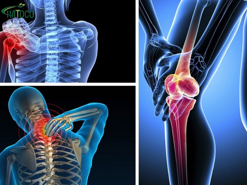 dai-lung-thao-duoc-co-the-dung-chung-voi-dau-xoa-bop-khong-2