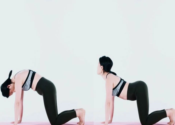 Tập yoga cho người thoái hóa cột sống giúp giảm đau lưng hiệu quả