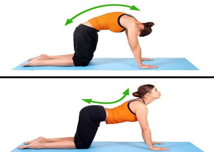 Top 6 bài tập Yoga thoát vị đĩa đệm hiệu quả nhất