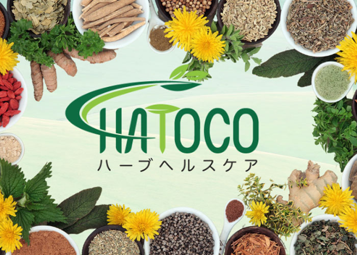 Gối thảo dược giúp ngủ ngon không? Nên mua loại nào tốt?