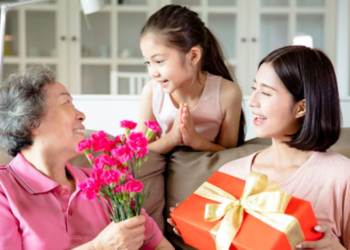 Gối thảo dược Hatoco chính hãng chuyên điều trị mất ngủ, đau mỏi vai gáy