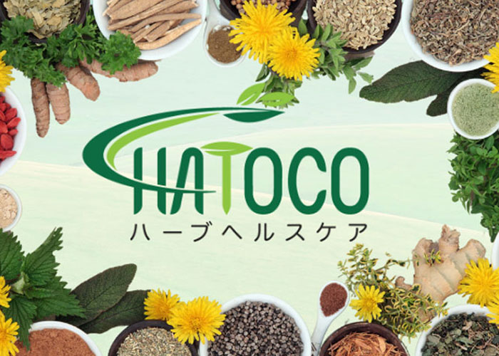 Gối thảo dược làm quà tặng được không? Nên chọn loại nào?