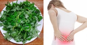 Những ai không nên ăn ngải cứu và nên ăn ngải cứu?