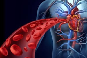 Đai khớp gối thảo dược giúp lưu thông máu Tốt, An toàn, Hiệu quả