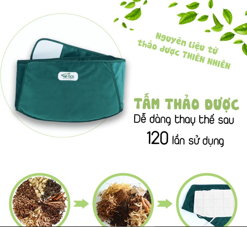 Cây ngải cứu là gì? Có công dụng ra sao đối với sức khỏe?