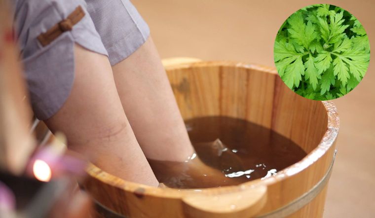 Ngâm chân ngải cứu có tác dụng gì?