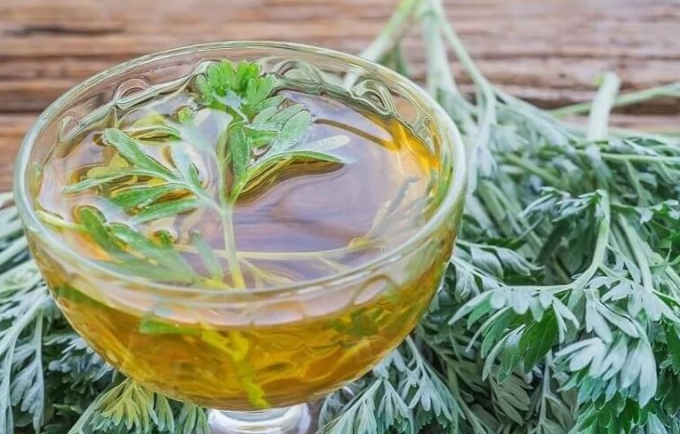 Uống ngải cứu có tác dụng gì? Lưu ý khi sử dụng?