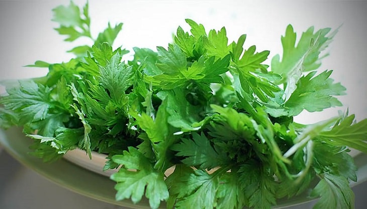 Uống ngải cứu có tác dụng gì? Lưu ý khi sử dụng?