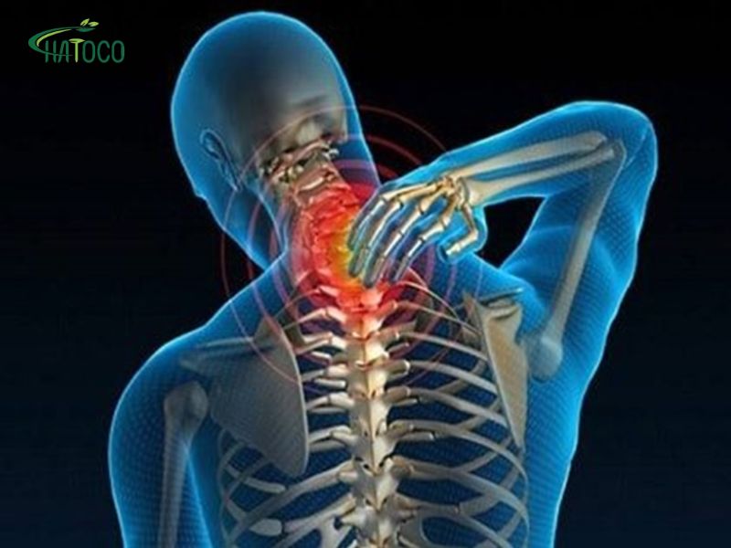 dau-co-vai-gay-do-dau-1