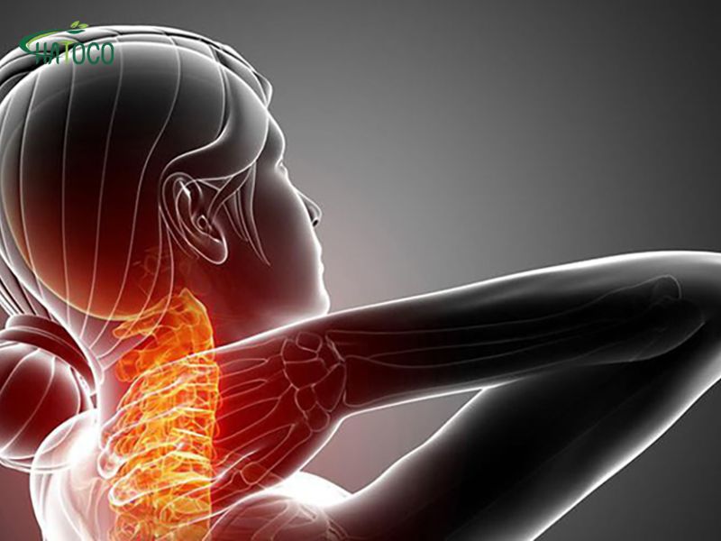 dau-co-vai-gay-do-dau-2