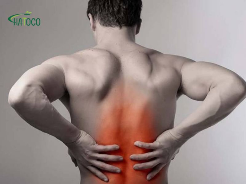 bi-cang-co-lung-duoi-2