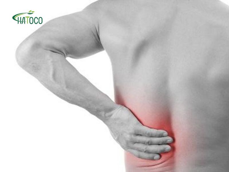 bi-cang-co-lung-duoi-3