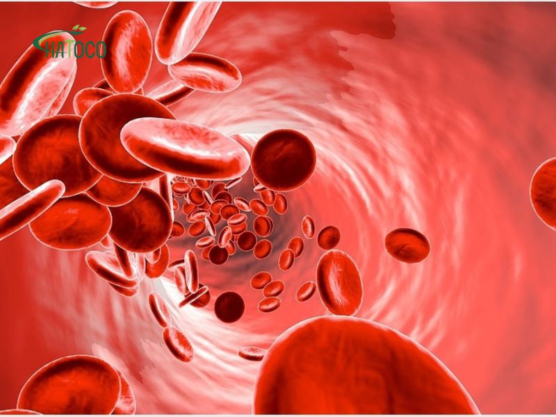 cach-giu-am-vung-lung-khi-troi-lanh-1