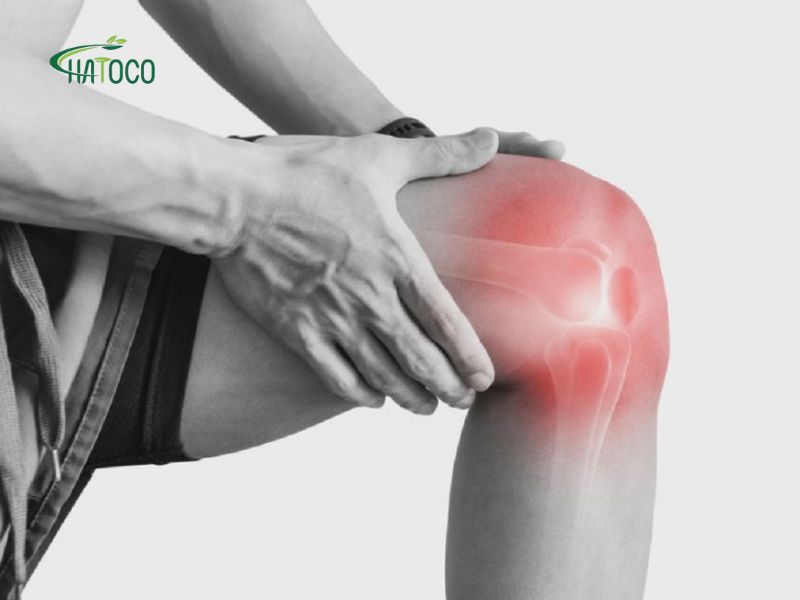 cang-co-dau-goi-la-gi-1