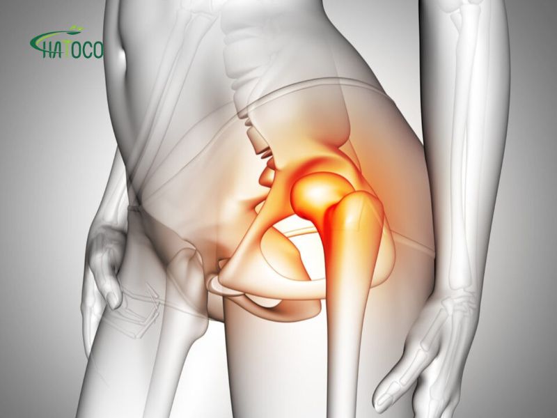 cang-co-hang-phai-lam-sao-2