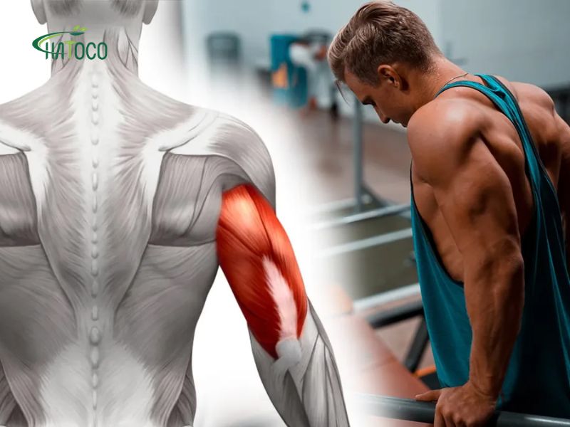 cang-co-sau-tap-gym-1